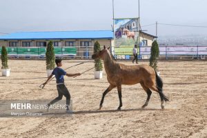 resized 973849 258 300x200 - همایش ملی سیلمی‌های ترکمن برگزار شد+ تصاویر