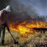 کشاورزان مراقب آتش سوزی گندمزار‌ها باشند