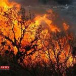 آتش سوزی چهار نقطه از مناطق جنگلی گالیکش