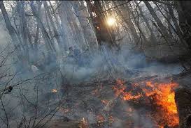 جنگل‌های گلستان - احتمال آتش‌سوزی جنگل‌های گلستان در روزهای آینده
