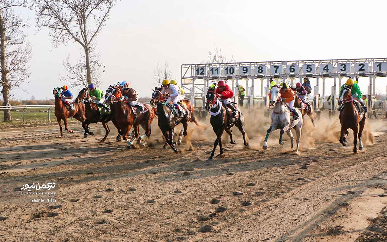 روز دوم هفته شانزدهم کورس زمستانه گنبدکاووس با قهرمانی 7 اسب به پایان رسید