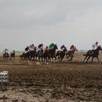 آق قلا 1 1 150x150 - هفته هشتم مسابقات اسبدوانی آق قلا با رقابت ۷۴ راس اسب برگزار شد+عکس