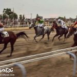 بندرترکمن 3 150x150 - گزارش تصویری هفته سوم مسابقات اسبدوانی تابستانی شهرستان ترکمن