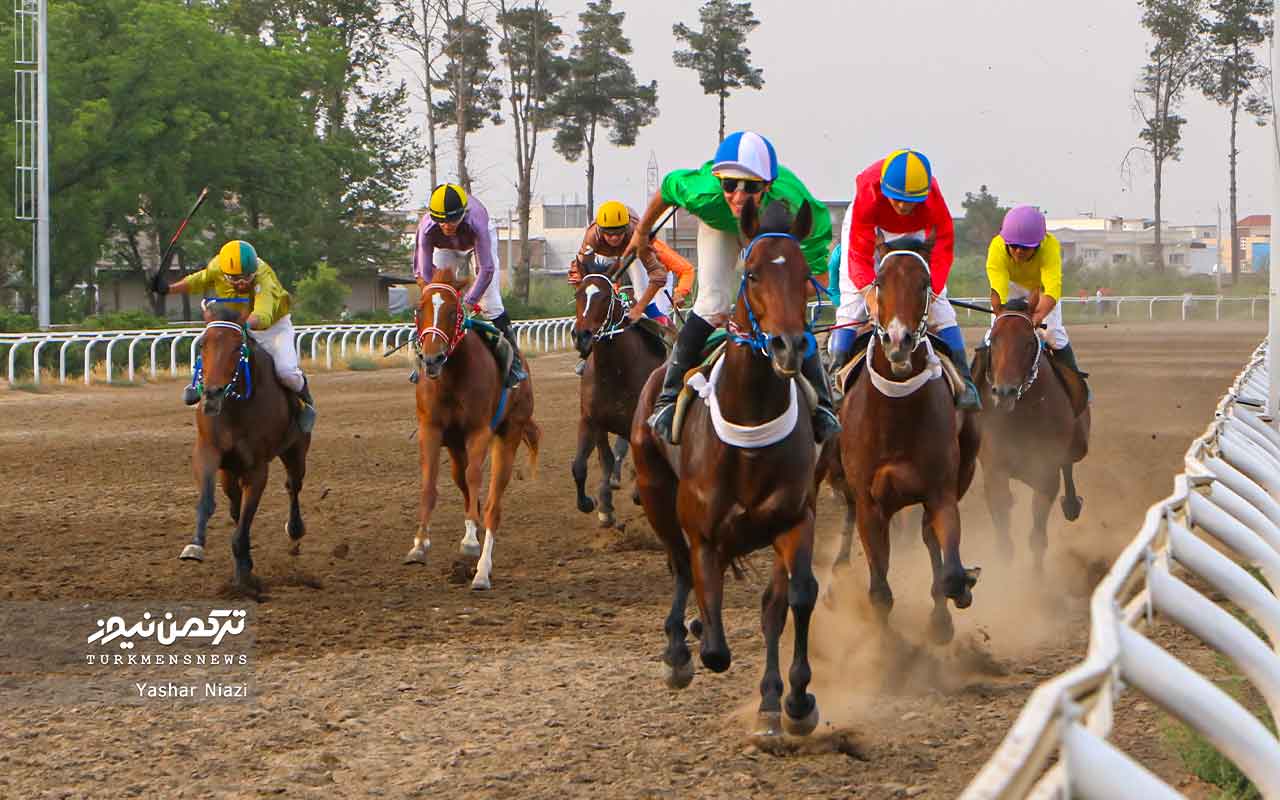 هفته چهارم مسابقات اسبدوانی بهاره گنبدکاووس با قهرمانی 7 اسب به پایان رسید+ تصاویر