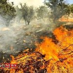 بیش از 100 هکتار از اراضی مرتعی پارک ملی گلستان در آتش سوخت