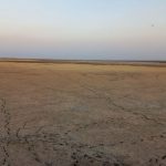 ۲ تالاب بین‌المللی گنبدکاووس به طور کامل خشک شد
