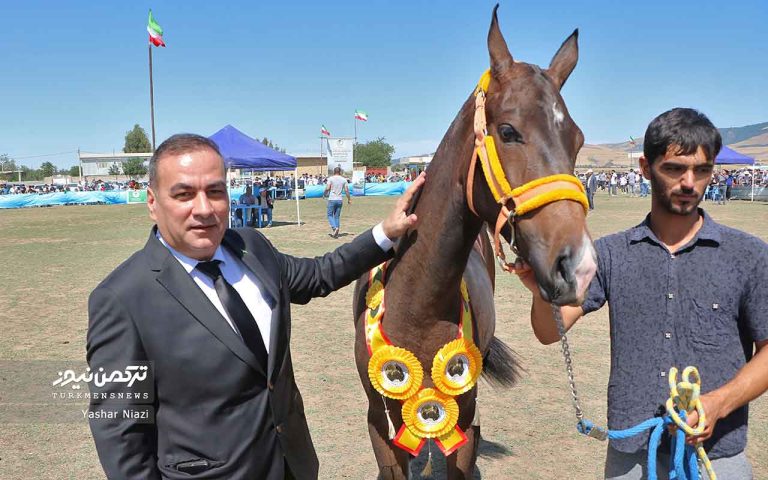 اسب صوفیان 17 768x480 - معرفی برترین‌های هفدهمین جشنواره زیبایی اسب اصیل ترکمن