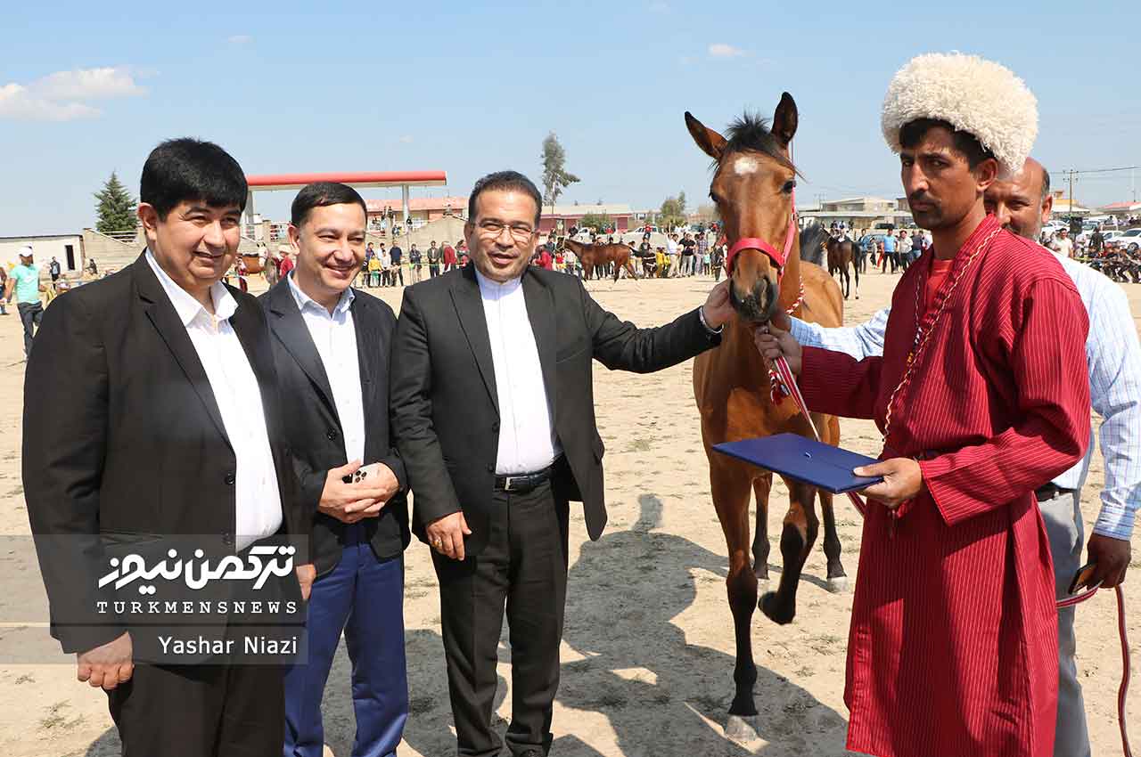 اسب‌های برتر جشنواره زیبایی اسب انبارالوم معرفی شد+تصاویر