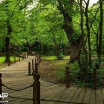 اخذ عوارض در النگدره مستلزم ایجاد زیرساخت است