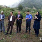 روستای زیارت مستعد کشت زعفران و گیاهان دارویی می باشد