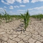 3 150x150 - زنگ خطر خشکسالی در گنبدکاووس به گوش می‌رسد