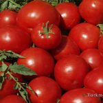 60 درصد از گوجه فرنگی گلستان در شهر رامیان کشت می شود