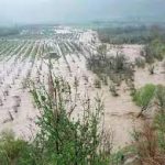1 150x150 - منابع طبیعی و آبخیزداری گنبدکاووس: کشاورزان و دامداران آماده مقابله با سیلاب‌ تابستانه باشند