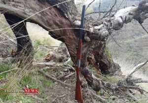 قتل جوان گالیکشی با اسلحه شکاری