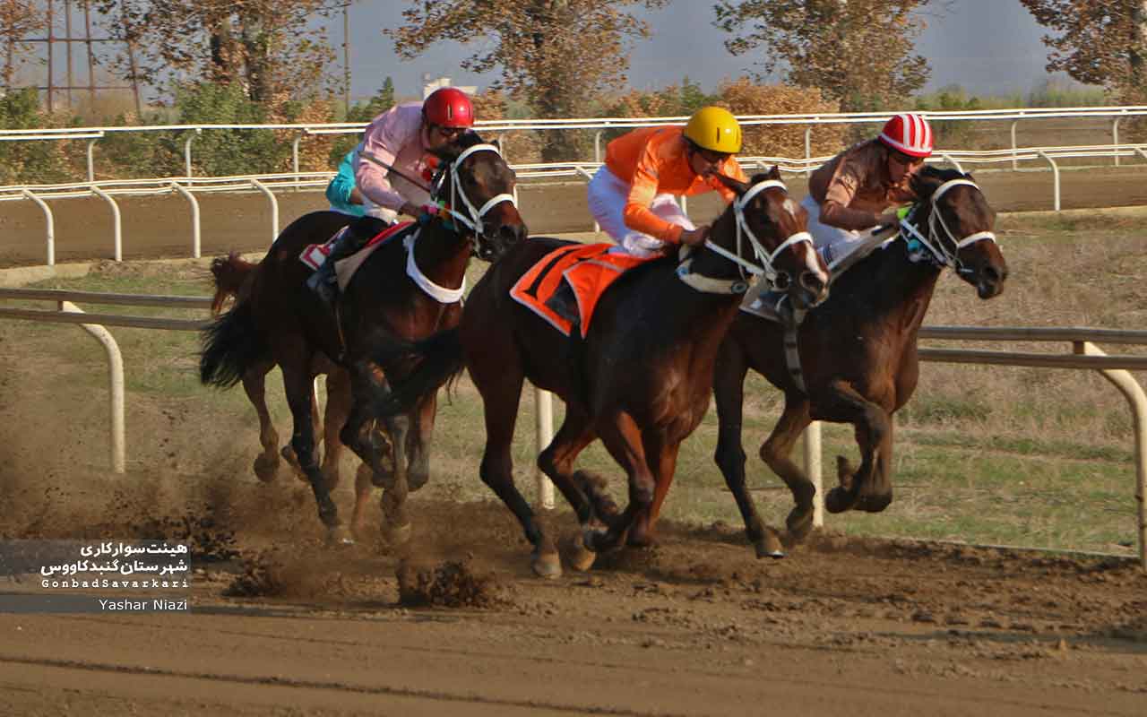 رقابت 53 راس اسب در آغاز هفته سوم مسابقات اسبدوانی پاییزه گنبدکاووس+عکس