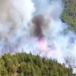 آتش سوزی در جنگل های سوزنی برگ کلاله به طور کامل مهارشد