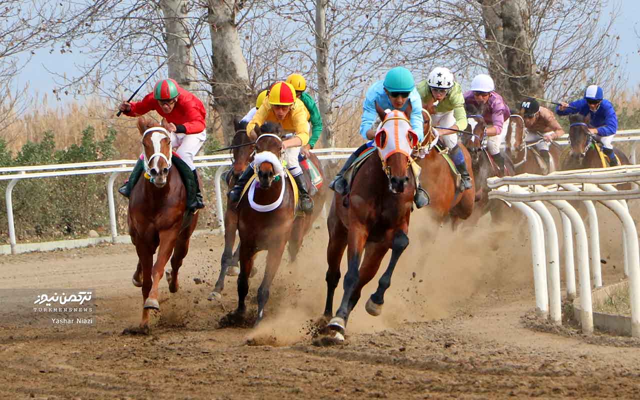 هفته سیزدهم مسابقات اسبدوانی گنبدکاووس با رقابت ۶۳ اسب به خط پایان رسید