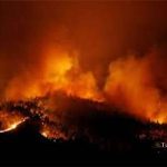 وسعت آتش سوزی پارک ملی گلستان هنوز مشخص نیست