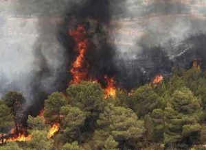 ملی گلستان 2 300x219 - نقشه پهنه‌بندی خطر آتش‌سوزی پارک ملی گلستان تهیه شد